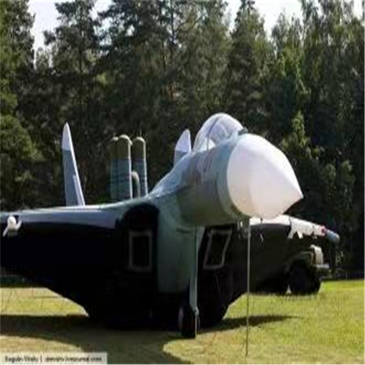 蒙山充气模型飞机制造商家